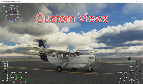 SWS Daher Kodiak - Custom Views