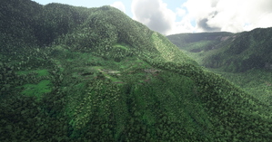 TAZO Tazon airstrip thumbnail 1