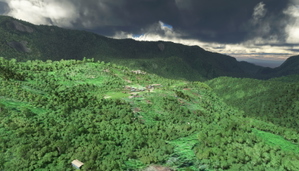 TAZO Tazon airstrip thumbnail 3