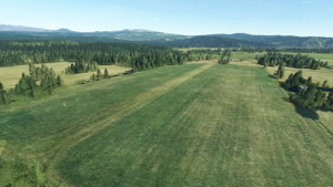 Trout Lake Airport (66WA) thumbnail 7