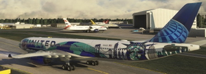UNITED AIRLINES Her Art NewYork/NewJersey Livery 8K  (FICTIONAL) thumbnail 5