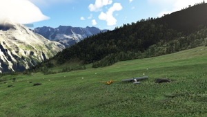 Winterflugfeld Blumenthal (Mürren) - LSVB thumbnail 5
