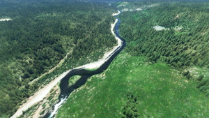 Yellowstone Park Landscape & Camping thumbnail 6