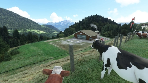 Air Glaciers base : Leysin (LSXY)