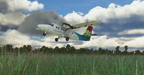 Air Seychelles "2011 livery" DHC-6-300WP Twin Otter thumbnail 6