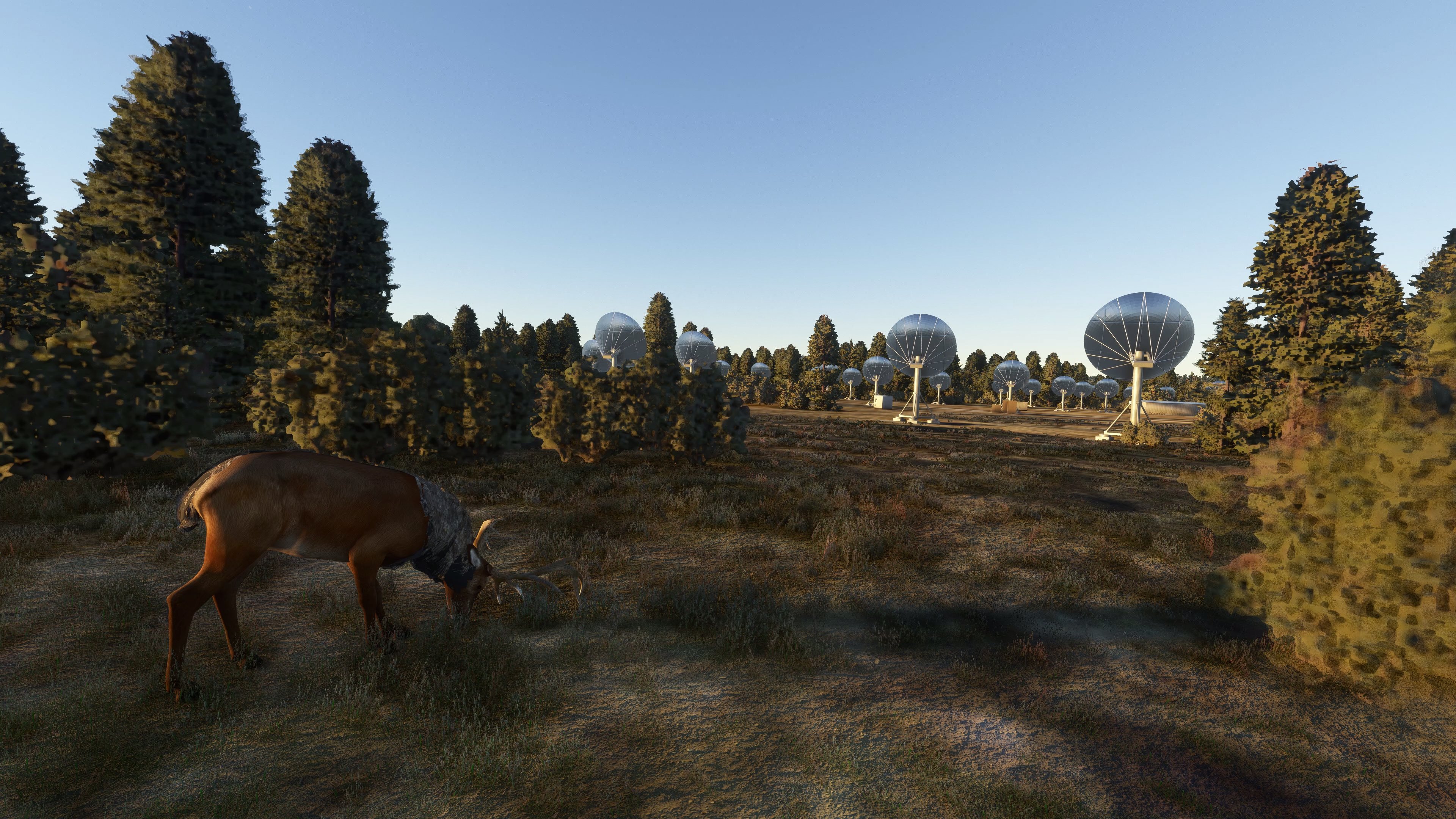 Allen telescope array (SETI institute) - Image 2