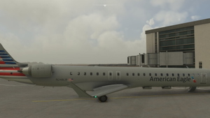 American Eagle / Mesa  thumbnail 4