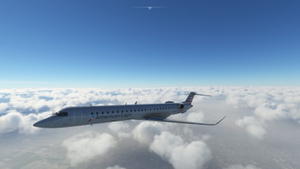 American Eagle / Mesa  thumbnail 6