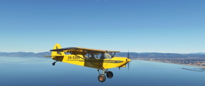 Asobo Savage Cub Realism Mod thumbnail 5