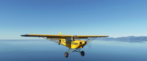 Asobo Savage Cub Realism Mod thumbnail 6