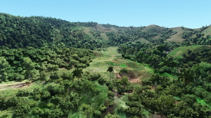 AYDN Dinangat airstrip Hardcore version thumbnail 5