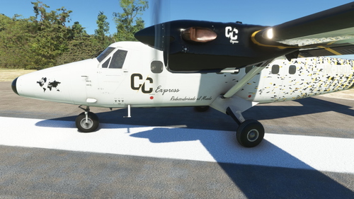 Capitan Cabal DHC-6-300 Twin Otter Livery