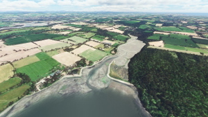 Cork Harbour Sandbanks thumbnail 6