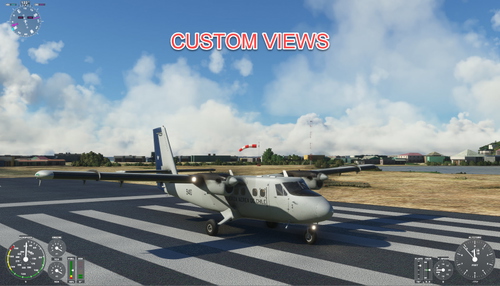 Custom Views for the Aerosoft DHC-6 Twin Otter