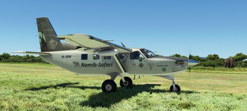 Daher Kodiak V5-GBW Namib-Safari V1.3