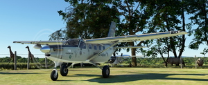 Daher Kodiak V5-GBW Namib-Safari V1.3 thumbnail 2