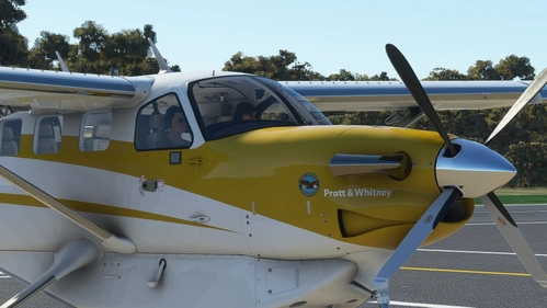 Daher Quest Kodiak 100 EC-APH