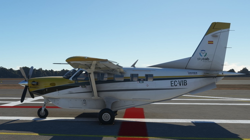 Daher Quest Kodiak 100 EC-VIB, "SkyCab" logo opcional