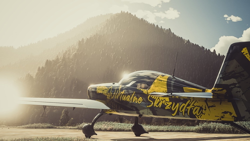 EXTRA 330LT WIRTUALNE SKRZYDŁA