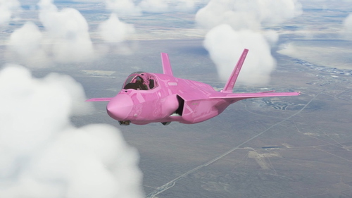 F-35B Pink Menace