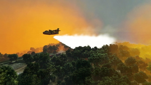 forest fires in the south of france thumbnail 6