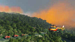 forest fires in the south of france thumbnail 15