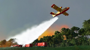 forest fires in the south of france thumbnail 4