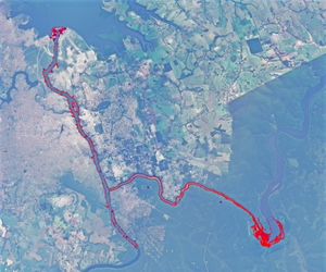 Itaipu Binacional and Iguaçu Falls - Foz do Iguaçu - PR thumbnail 17