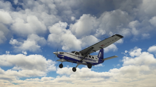 Kodiak 100 Everyair Virtual Livery