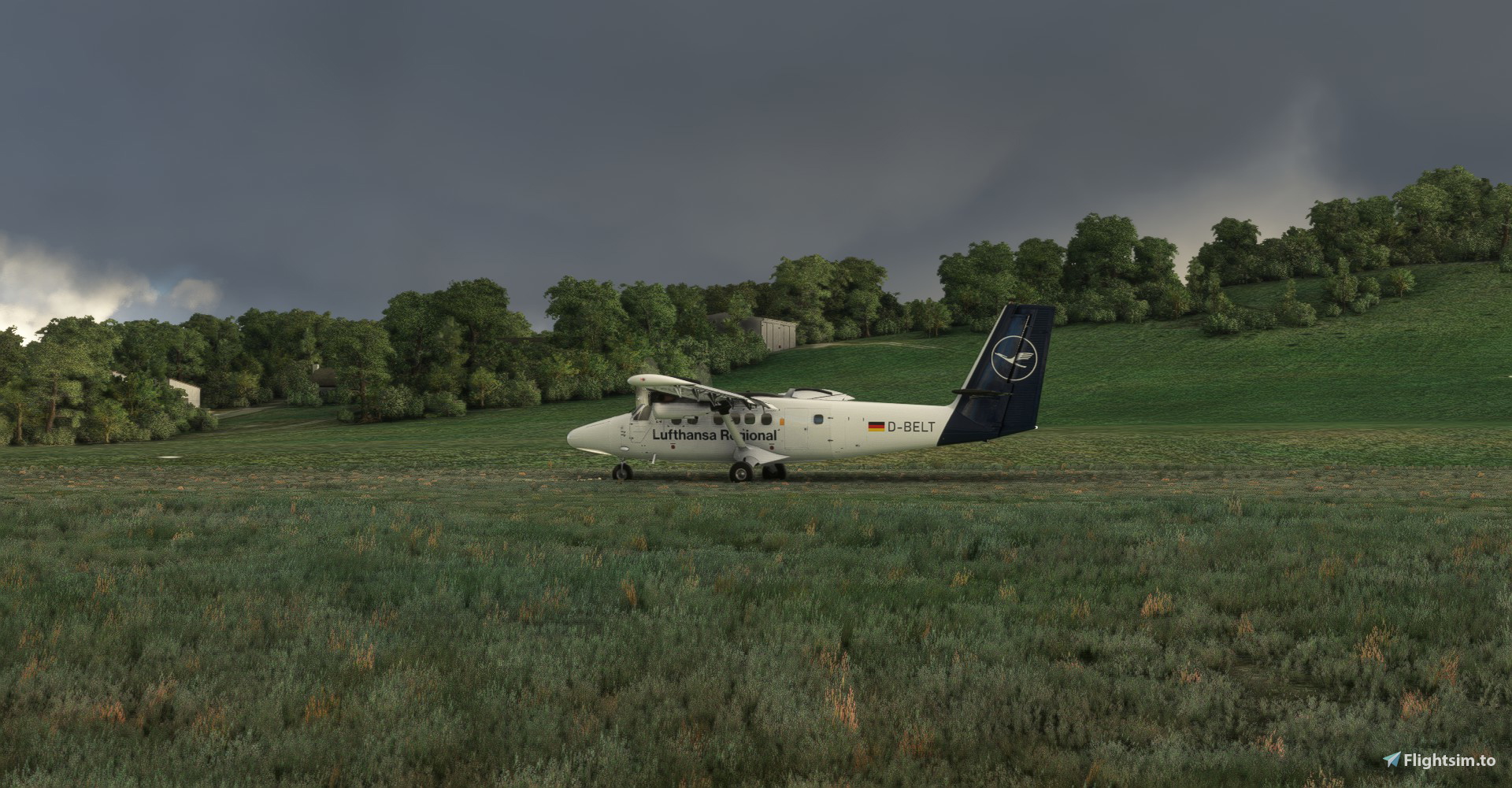 Lufthansa Regional "2019 livery" DHC-6-300WP Twin Otter - Image 1