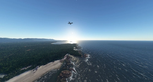 Pacific Rim Coastline & Tree Enhancements