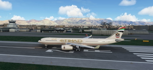 PMP_A330_300_ETIHAD old   (8K) thumbnail 4