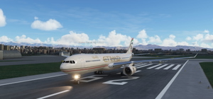 PMP_A330_300_ETIHAD old   (8K) thumbnail 3