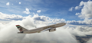 PMP_A330_300_ETIHAD old   (8K) thumbnail 1