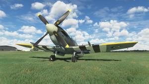 Spitfire Mk.XVI TE184 (2019) thumbnail 5