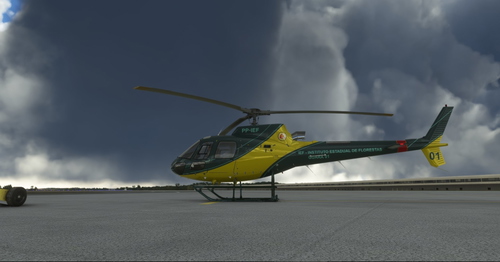 State Forest Institute | PP-IEF | RotorSimPilot H125 | 8K Resolution