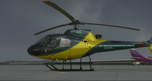 State Forest Institute | PP-IEG | RotorSimPilot H125 | 8K Resolution
