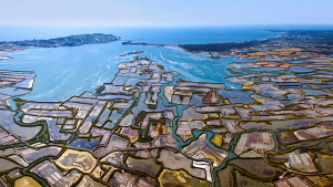 Visite littoral Atlantique en France. thumbnail 12