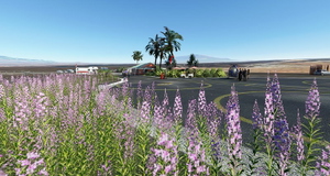 Waikoloa Heliport, Hawaii - HI07 thumbnail 2