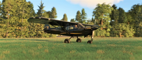 (8K) Monster NX Cub - Flights With Joel Pack