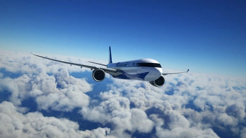 A330neo ShoebillJet Livery [Fictional]