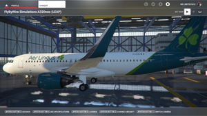 Aer Lingus A32NX thumbnail 3
