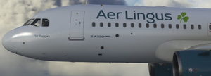 [A32NX] AER LINGUS EI-DES 8K thumbnail 9