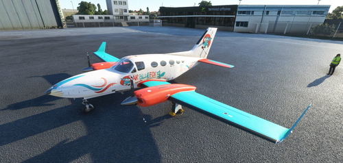 Air BlueFox VA- Cessna 414 Chancellor