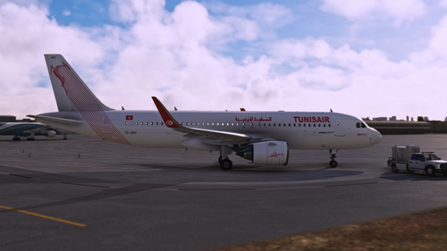 Airbus A32NX | TunisAir | TS-IMY [8K]&nbsp;