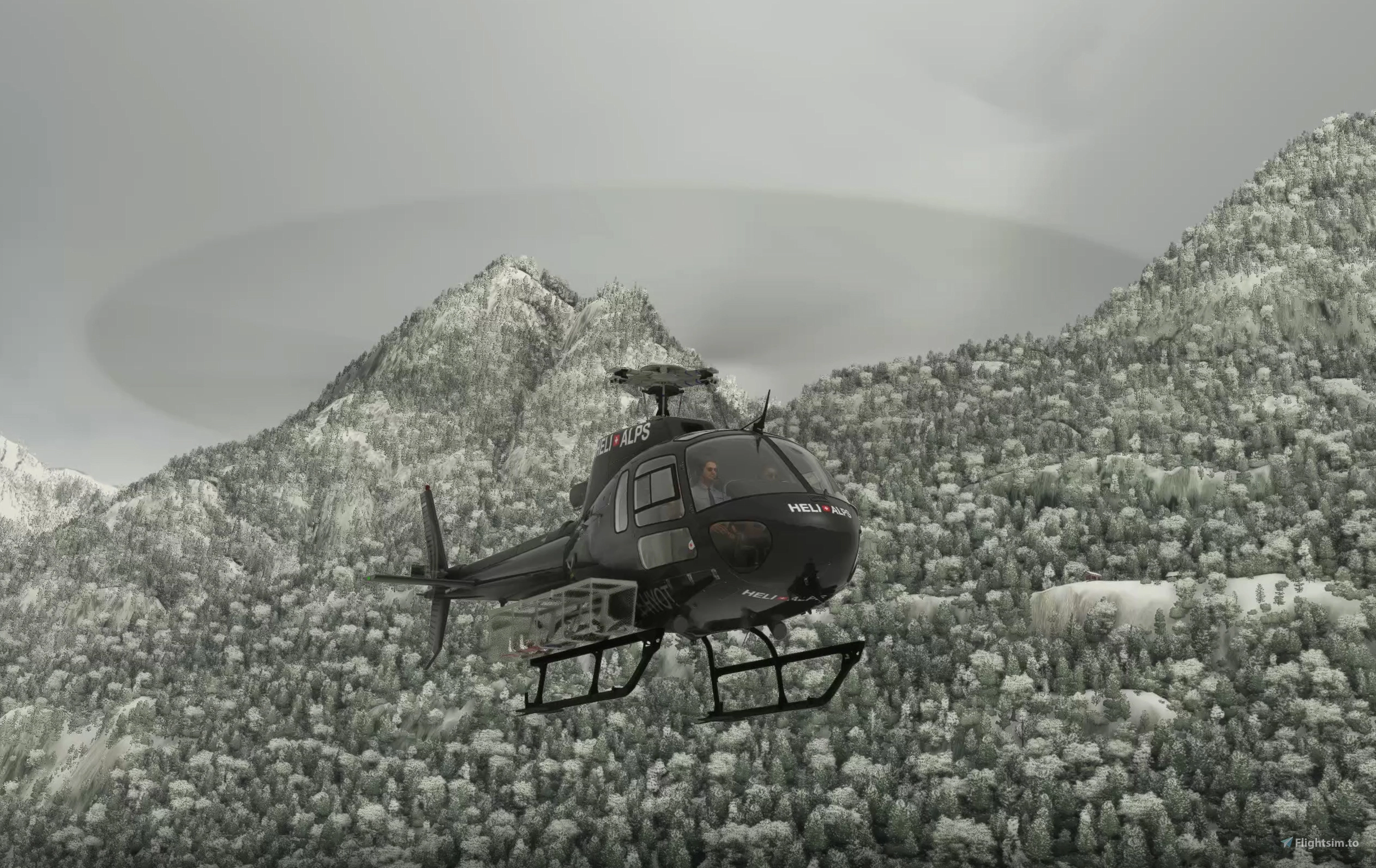 Airbus H125 Helicopter Project - Image 2