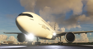 Airbus Industries "Carbon livery" Headwind A330-900 thumbnail 5