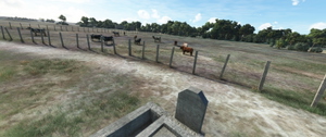 Aérodrome de Montpellier - Candillargues thumbnail 18