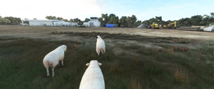 Aérodrome Nizas Pézenas LFNP  thumbnail 9