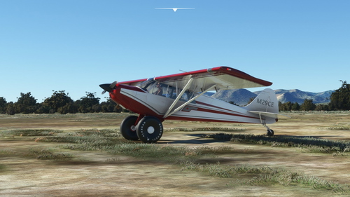 Asobo_Husky_A1C_SunLine